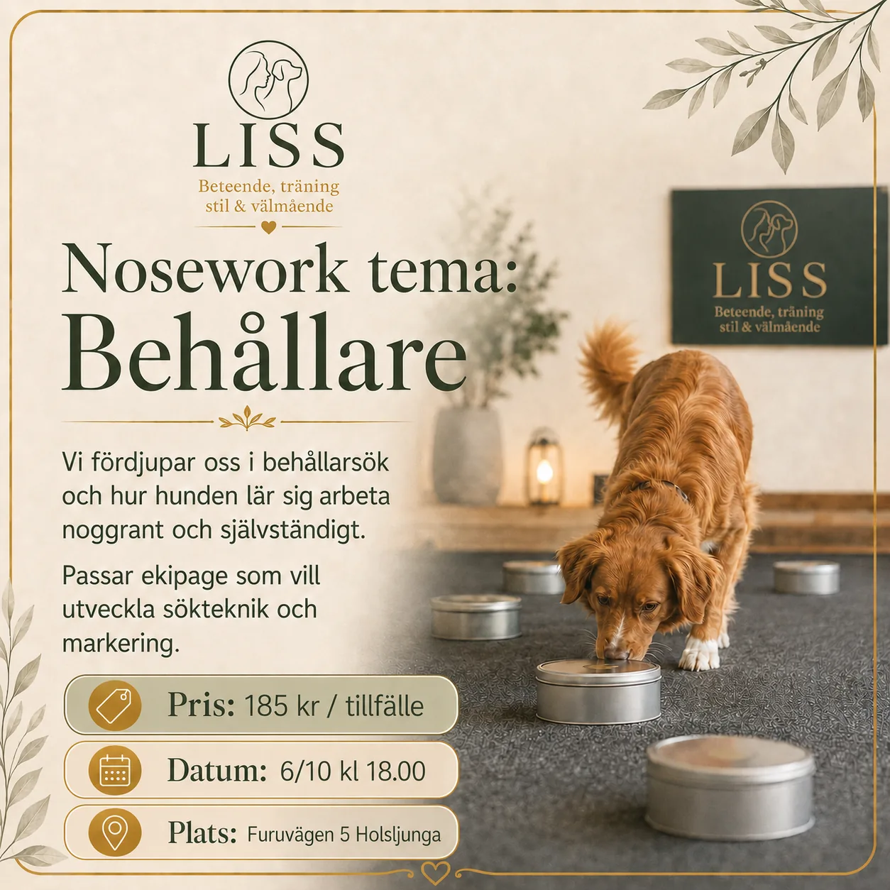 Omslagsbild för kursen Nosework tematräning – behållarsök