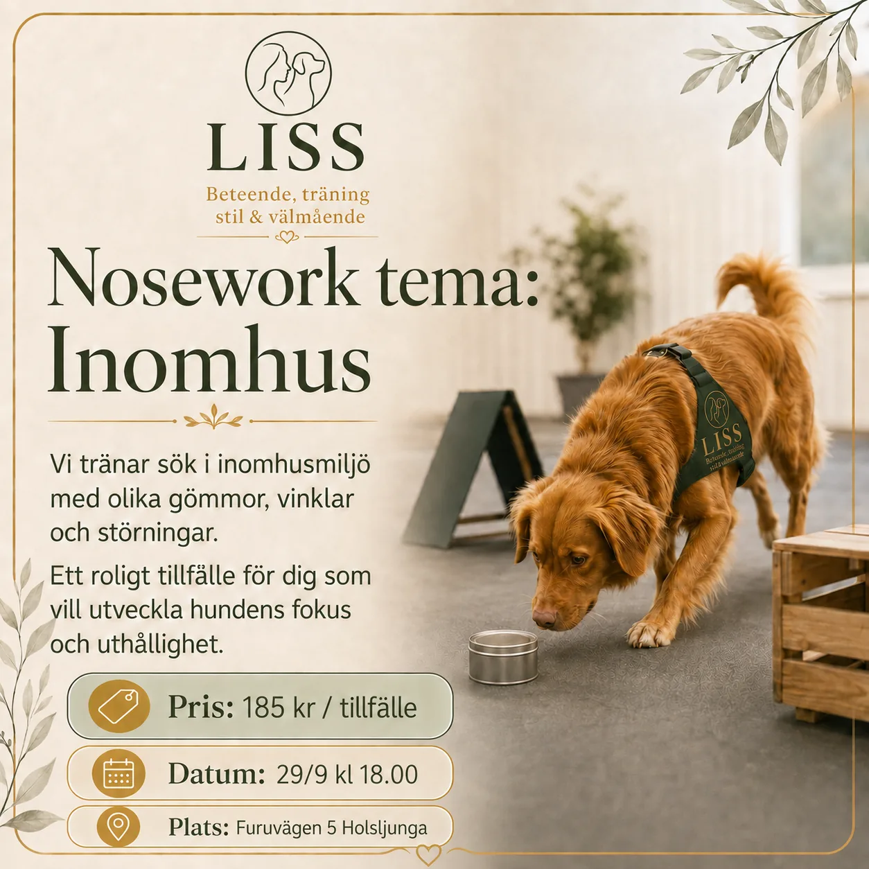 Omslagsbild för kursen Nosework – inomhussök för klass 1