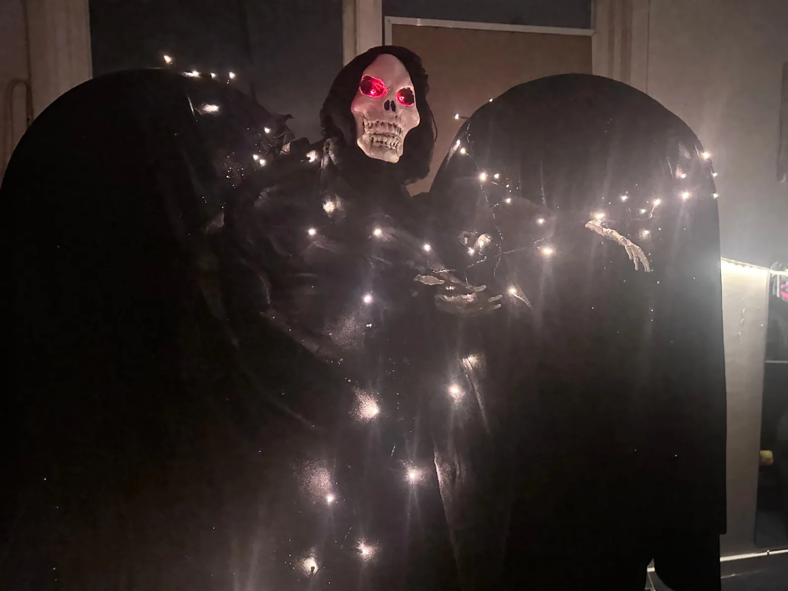 Omslagsbild för kursen đ Halloweensök â vĂ„gar din hund nosa i mörkret?