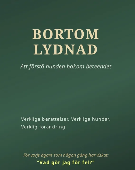 Bokomslag Bortom Lydnad