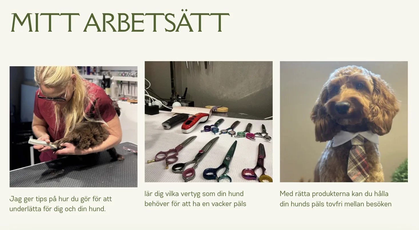 Mitt arbetssätt – Liss klipper en hund, verktyg för pälsvård och en hund med tovfri päls