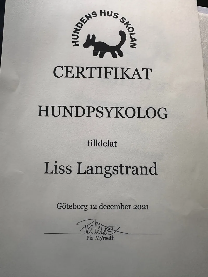 Certifikat 1
