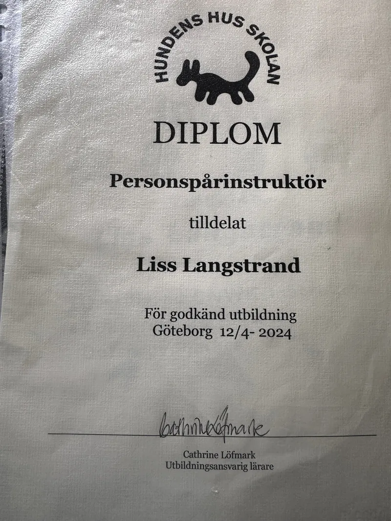 Certifikat 2