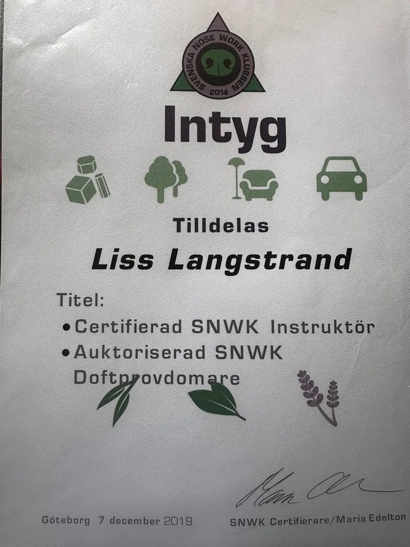 Certifikat 3