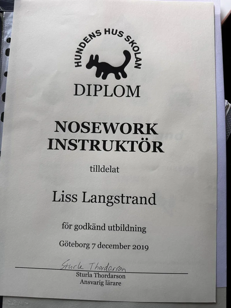Certifikat 4