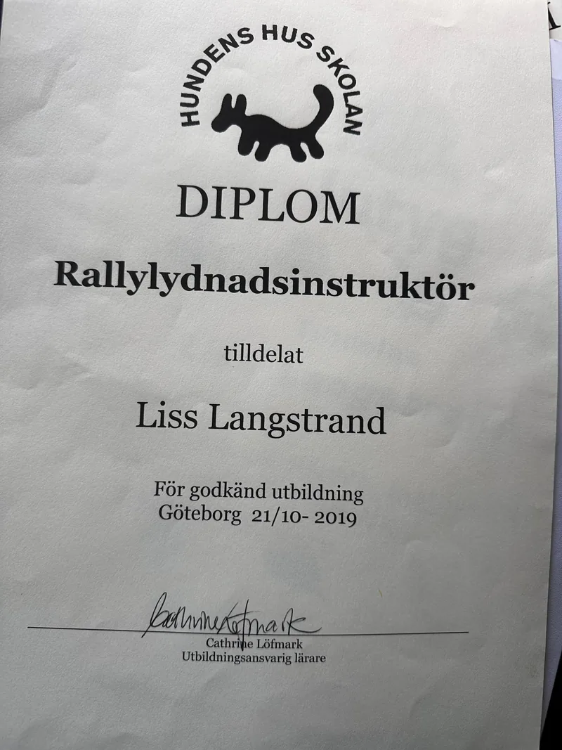 Certifikat 5