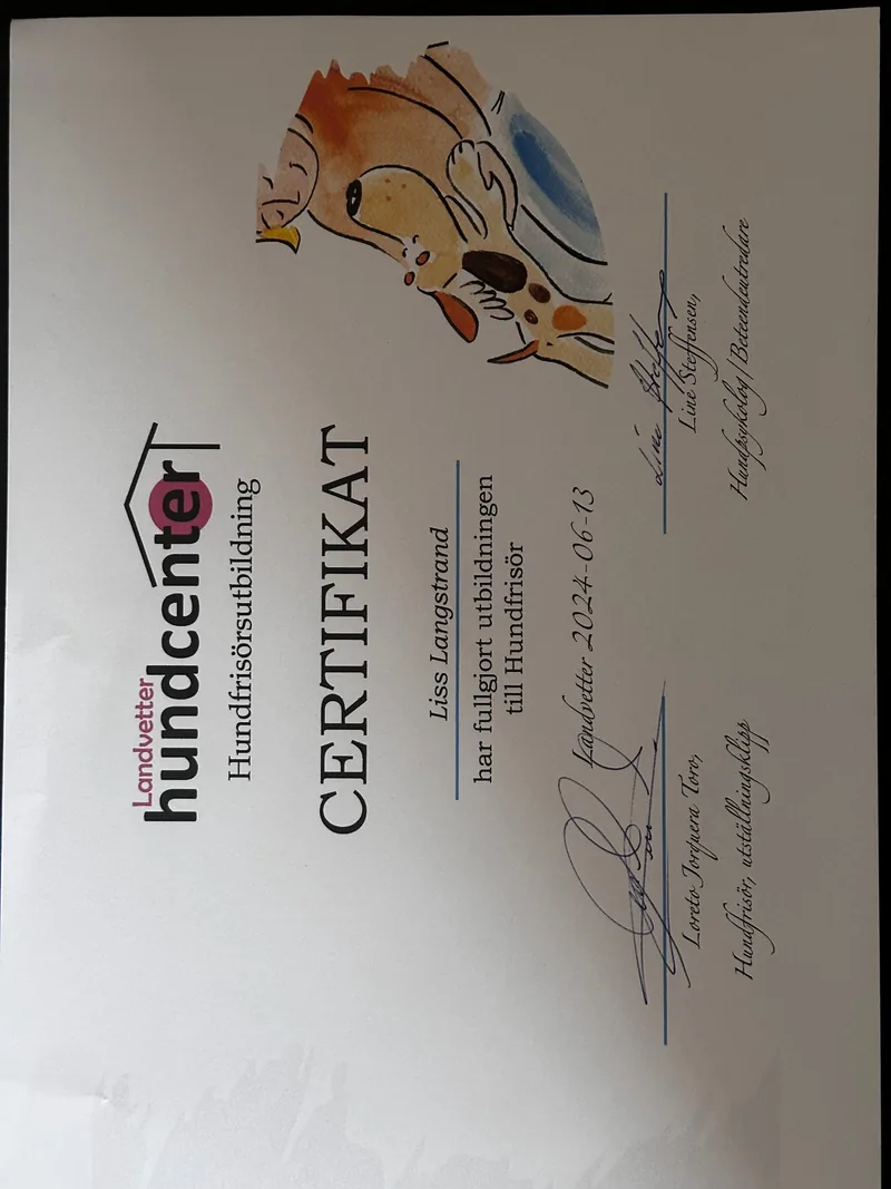 Certifikat 6